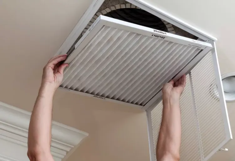 Expert residential landscaping with custom design across Jacksonville, NC - Comfort & Beauty Home Services