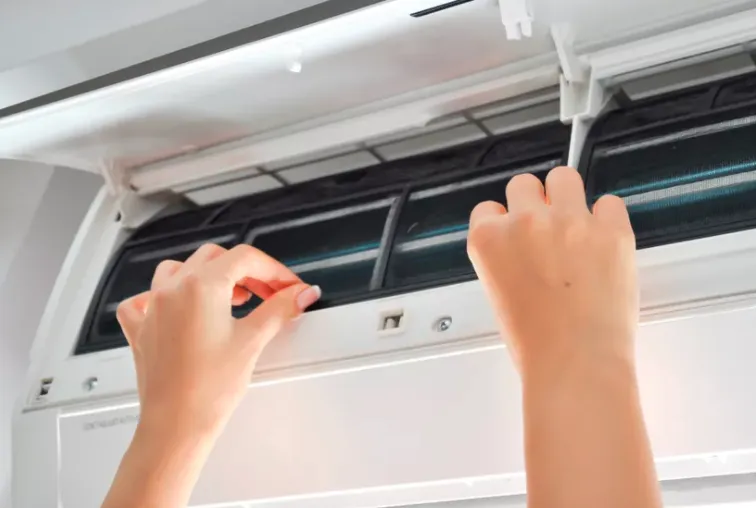 Expert lawn care service in Jacksonville, NC - Comfort & Beauty Home Services