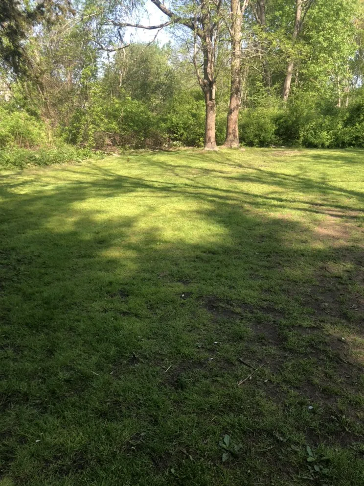 Professional landscape installation in Westerly, RI by Comfort Diaz Green Land