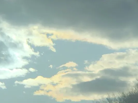 Comfort Diaz Green Land Logo