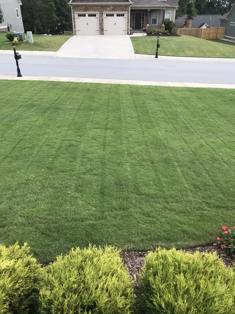 Custom yard maintenance experts serving Ringgold, GA - Comfort Lawn Care