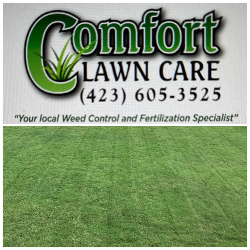 Expert yard cleanup service in Ringgold, GA by Comfort Lawn Care