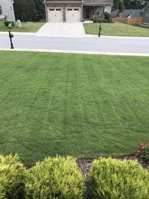 Comfort Lawn Care Logo