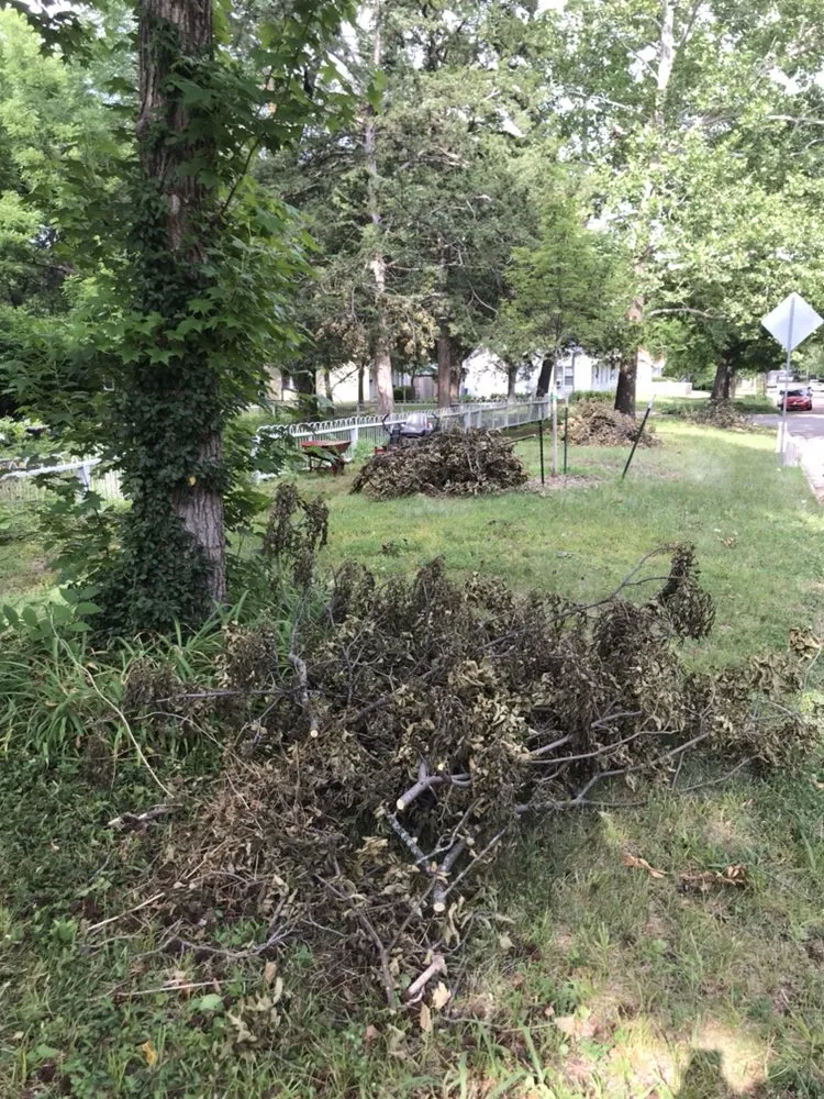 Custom landscape design experts serving Lawrence, KS - Comfort Mowing and Lawncare