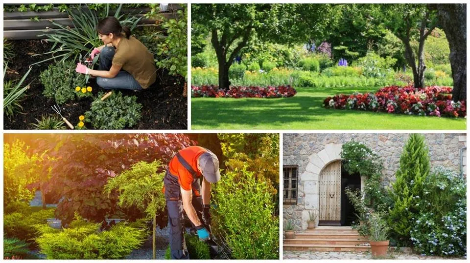 Affordable lawn mowing service with custom design across Kingsland, GA - Comin Up Roses Yard Care