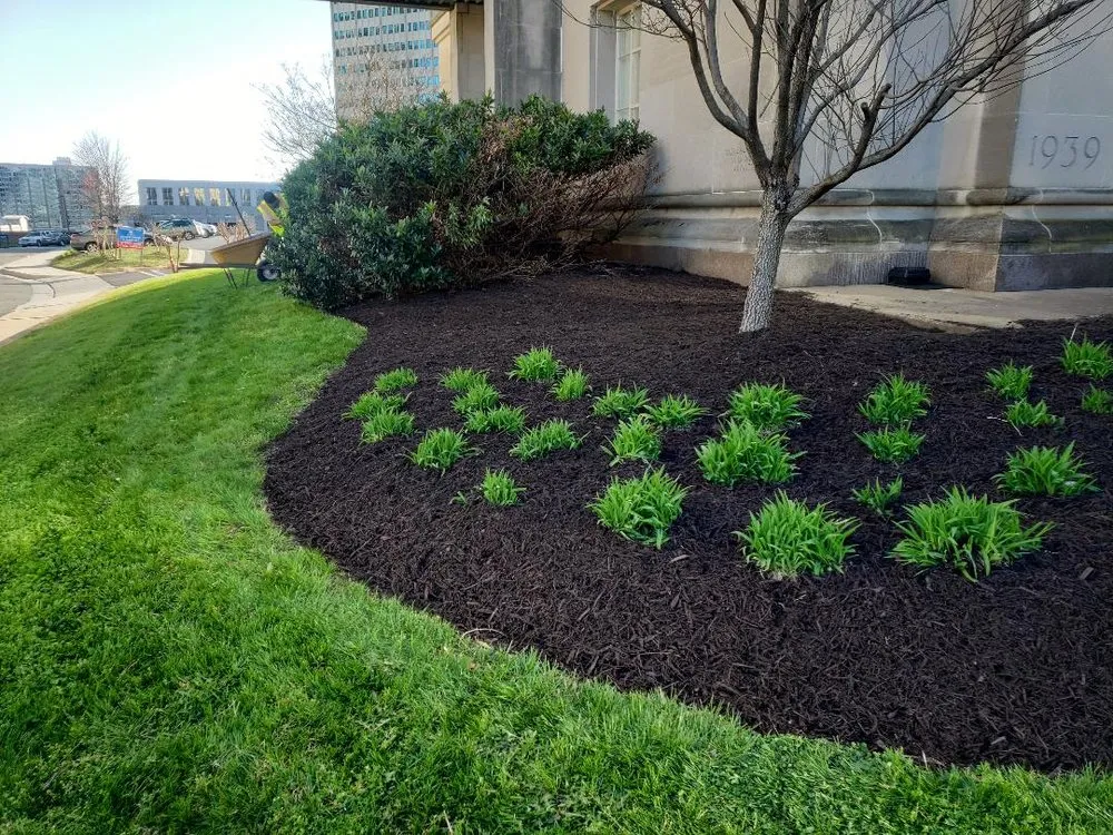 Top-rated residential landscaping experts serving Sandston, VA - Commander Contracting
