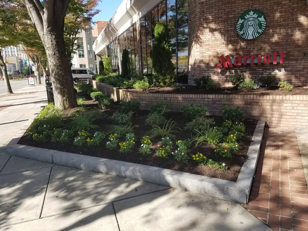 Top-rated landscape installation in Sandston, VA by Commander Contracting