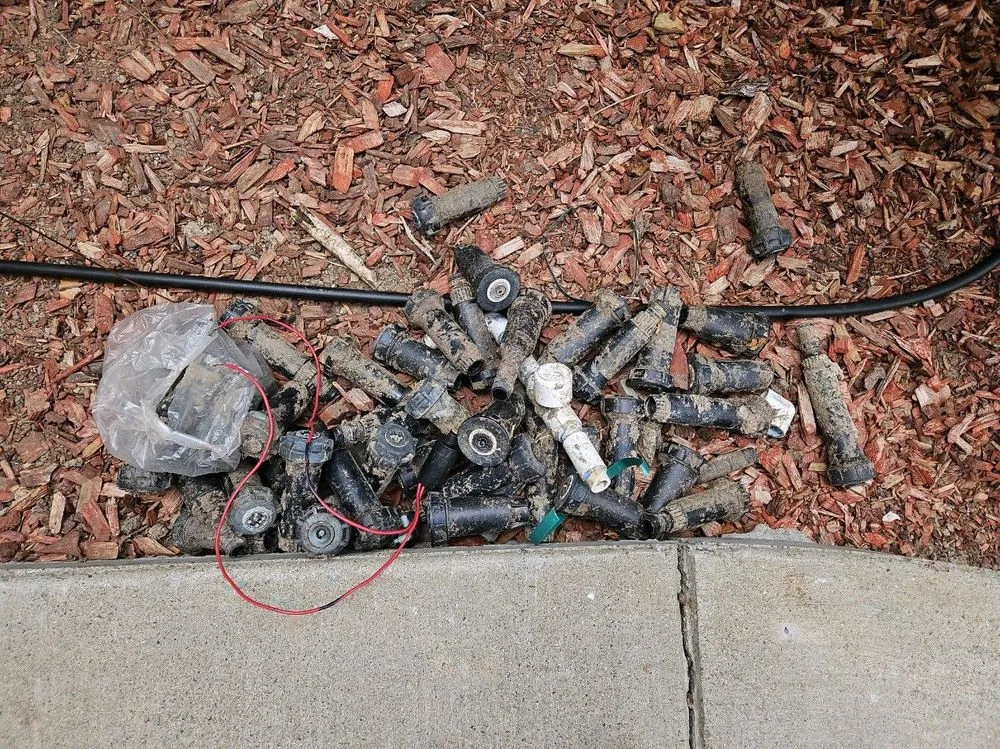 Professional landscape installation experts serving Fallbrook, CA - Commercial & Residential Yard Maintenance