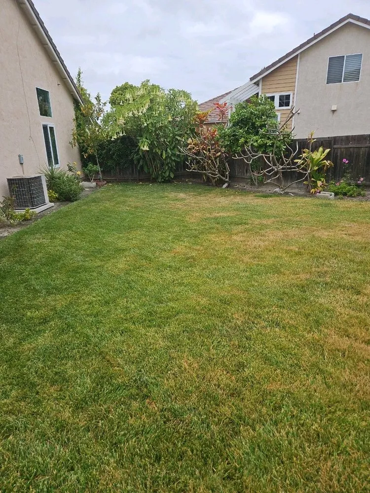 Custom yard cleanup service experts serving Fallbrook, CA - Commercial & Residential Yard Maintenance