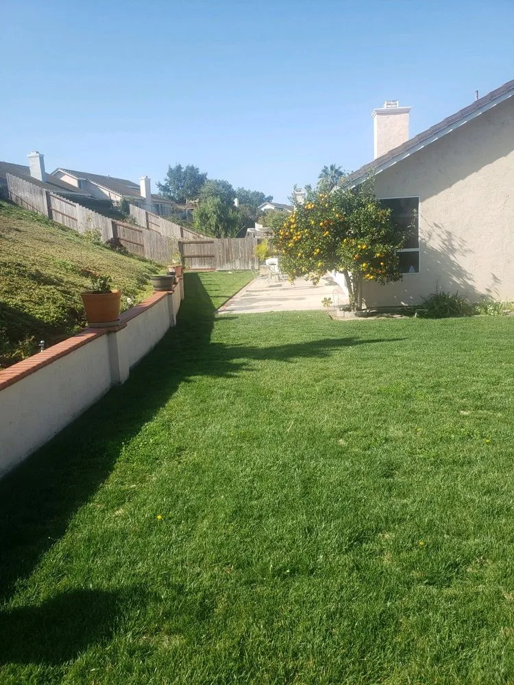 Affordable garden landscaping in Fallbrook, CA - Commercial & Residential Yard Maintenance