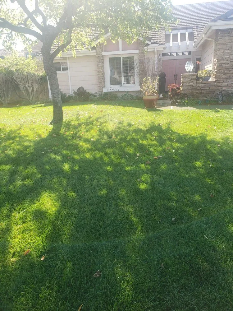 Affordable yard cleanup service experts serving Fallbrook, CA - Commercial & Residential Yard Maintenance