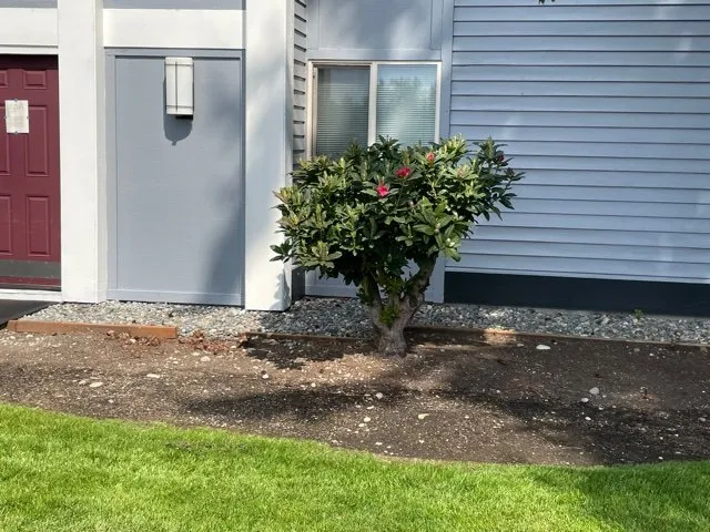 Affordable garden landscaping experts serving Lakewood, WA - Commercial Landscaping 2