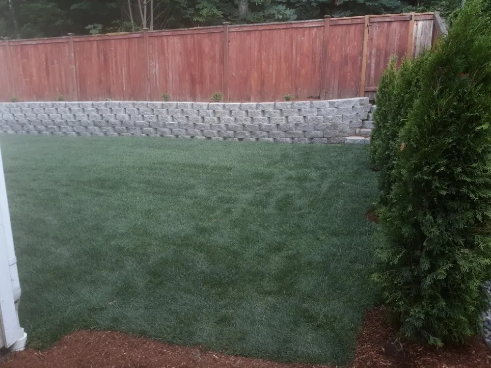 Trusted lawn mowing service for year-round maintenance in Lakewood, WA by Commercial Landscaping 2