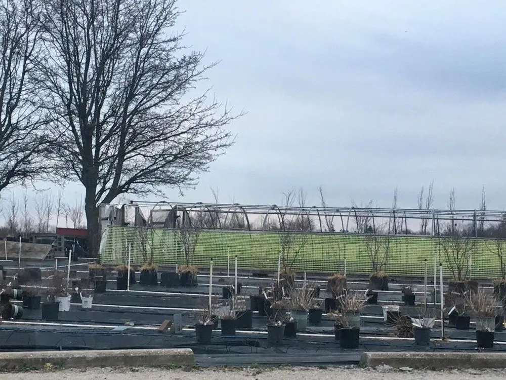 Custom residential landscaping for year-round maintenance in Evansville, IN by Commercial Landscaping Service