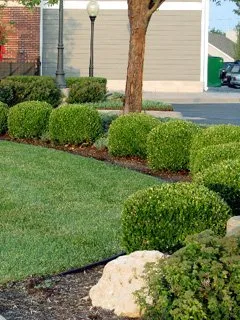 Custom residential landscaping experts serving Wichita, KS - Commercial Lawn Management