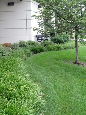 Professional residential landscaping for homes across Wichita, KS - Commercial Lawn Management