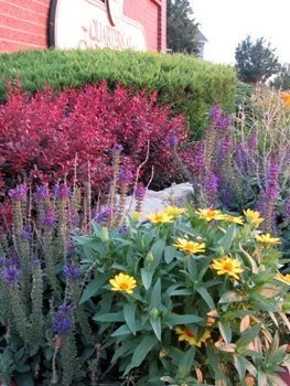 Top-rated yard cleanup service experts serving Wichita, KS - Commercial Lawn Management