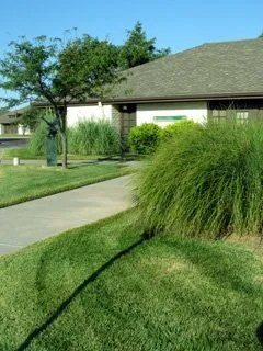 Custom outdoor landscaping for residential properties across Wichita, KS - Commercial Lawn Management