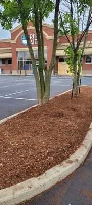 Commercial Only Lawn Care Logo