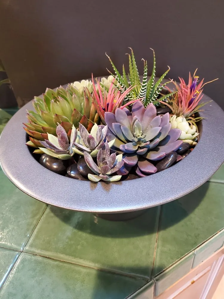 Trusted residential landscaping near you in Danville, CA by Commercial Plant Services