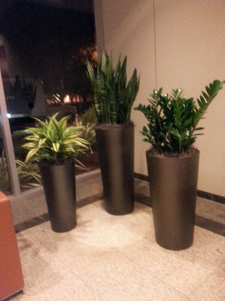 Trusted landscaping services for beautiful yards across Danville, CA - Commercial Plant Services