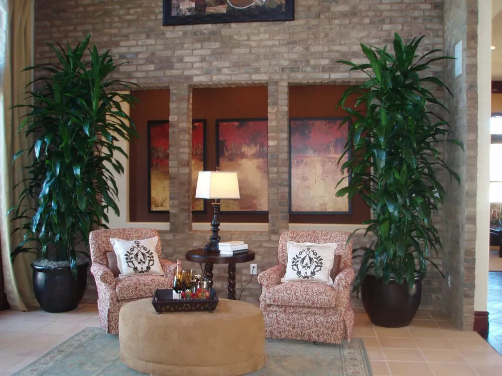 Professional lawn care service for beautiful yards across Danville, CA - Commercial Plant Services