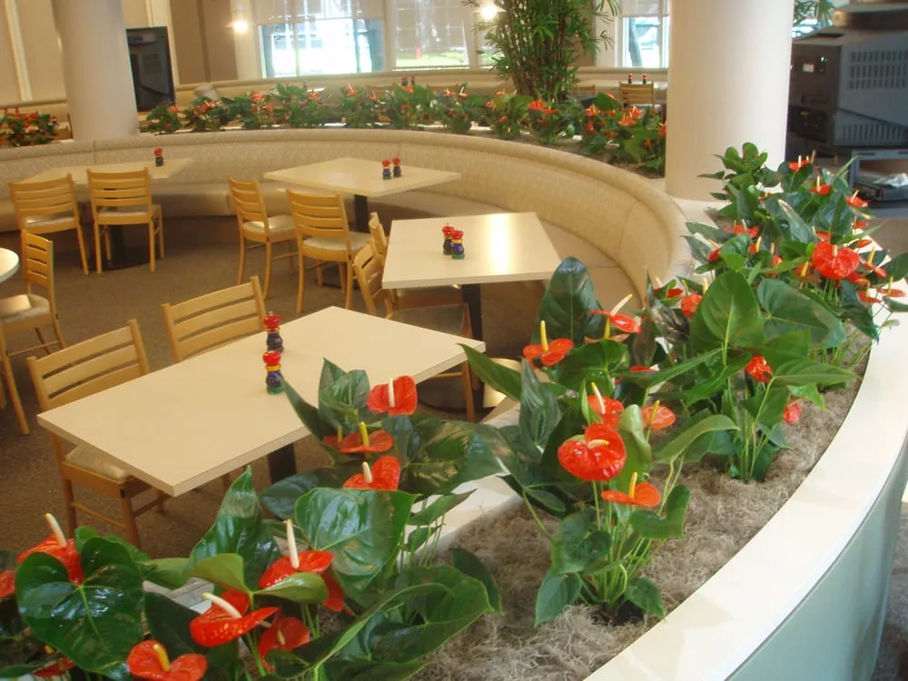 Custom yard cleanup service in Danville, CA by Commercial Plant Services