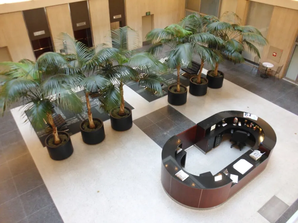 Local lawn care service for outdoor upgrades across Danville, CA - Commercial Plant Services