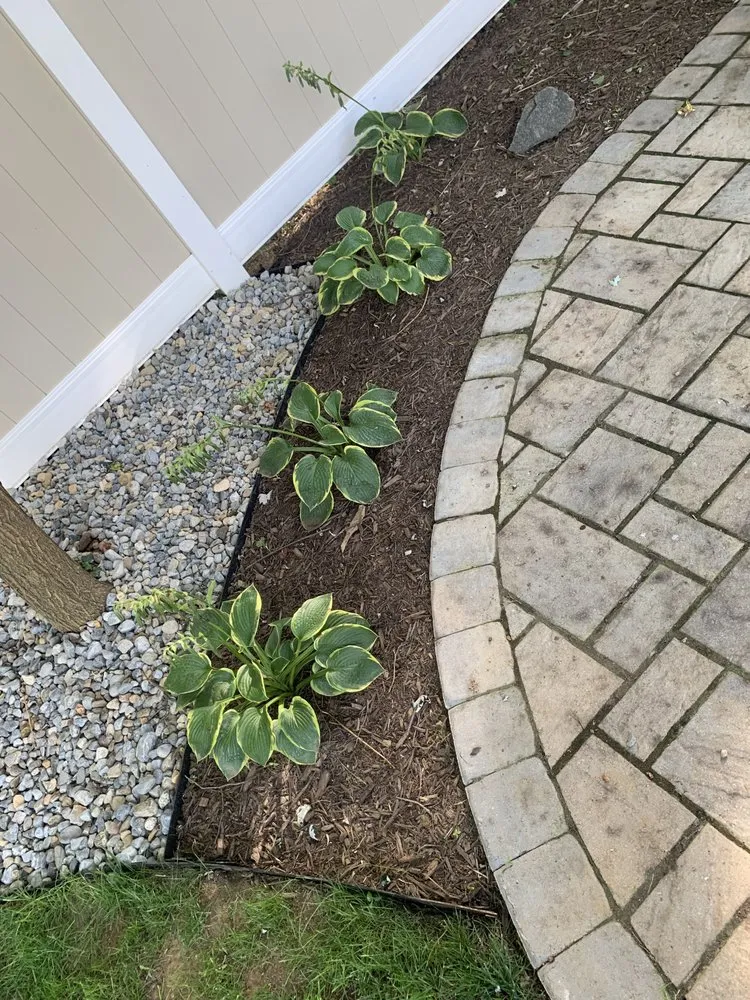 Trusted outdoor landscaping in Severna Park, MD by Commercial Property Services