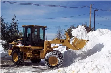 Reliable yard maintenance in Raynham, MA by Commercial Property Solutions