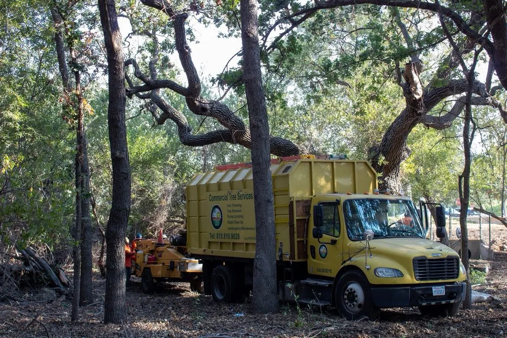 Expert landscape design for residential properties across Los Angeles, CA - Commercial Tree Services