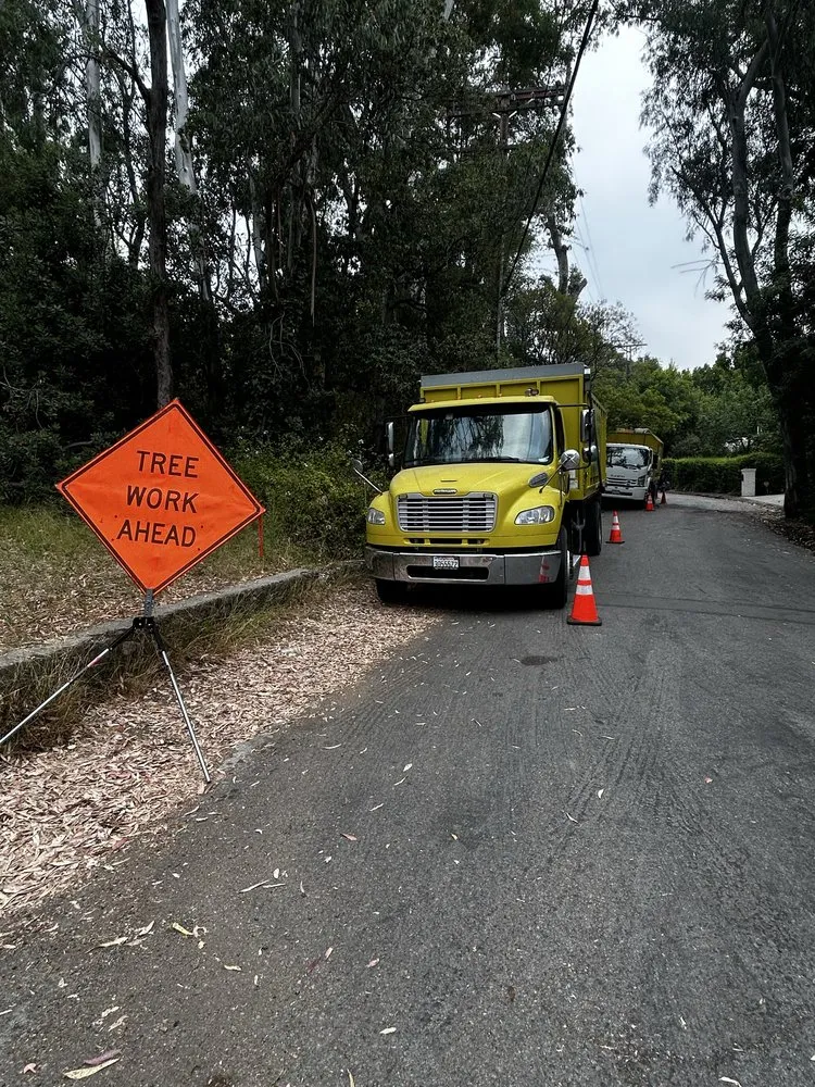 Professional landscape design with custom design in Los Angeles, CA by Commercial Tree Services