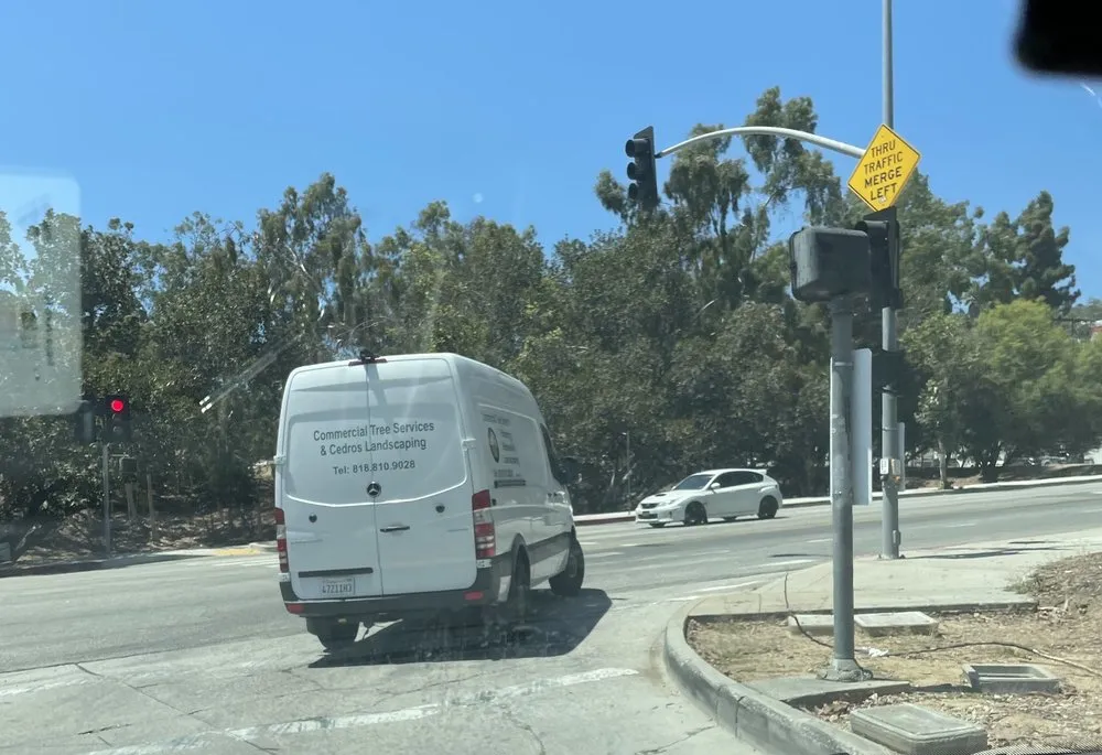 Custom landscape installation in Los Angeles, CA - Commercial Tree Services