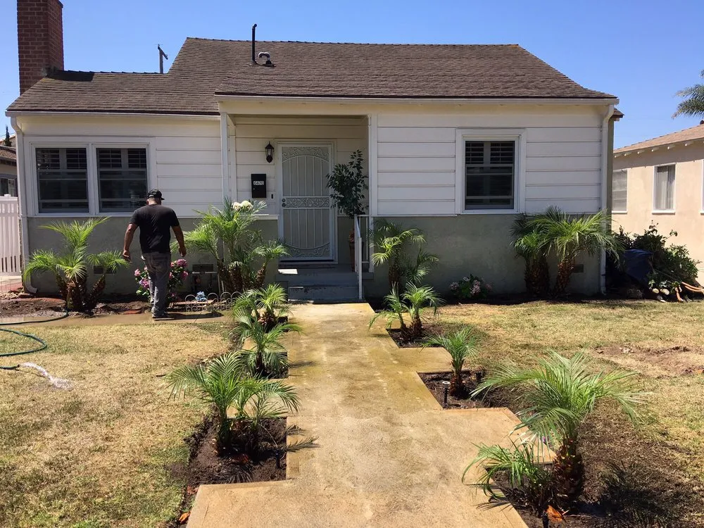 Top-rated lawn mowing service in Los Angeles, CA - Commercial Tree Services