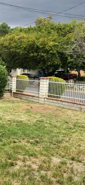 Local lawn care service with custom design in Los Angeles, CA by Commercial Tree Services