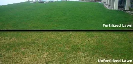 Top-rated landscape design experts serving Erie, PA - Commercial Turf Fertilization