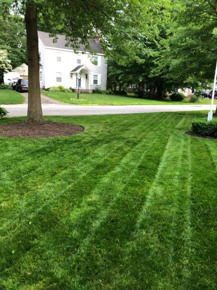 Local yard maintenance for year-round maintenance in Erie, PA by Commercial Turf Fertilization