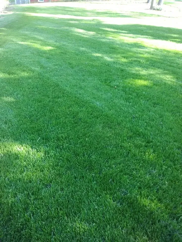 Expert garden landscaping experts serving Erie, PA - Commercial Turf Fertilization