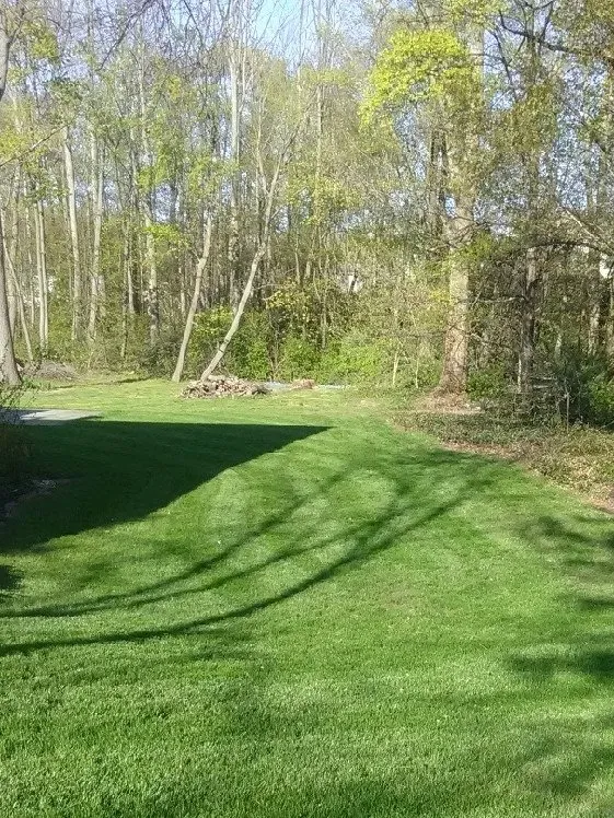 Local yard maintenance in Erie, PA - Commercial Turf Fertilization