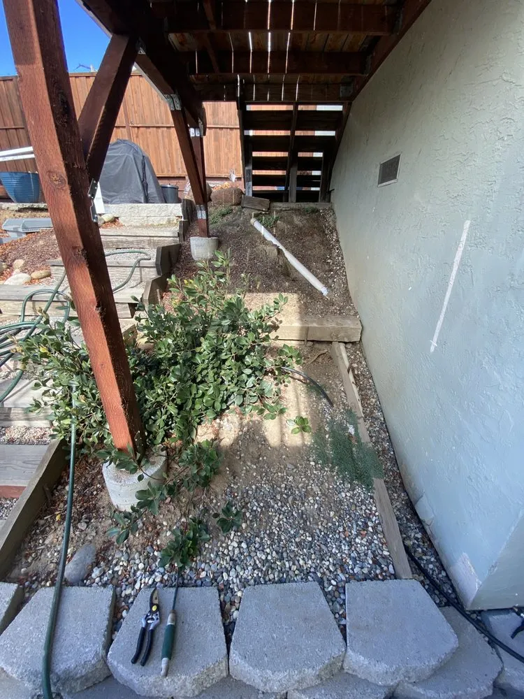 Expert landscaping services in Hayward, CA by Commitment