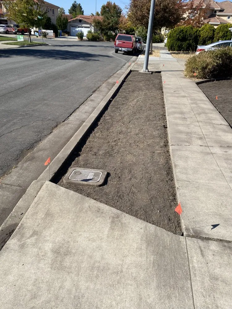 Custom landscaping services for beautiful yards across Hayward, CA - Commitment