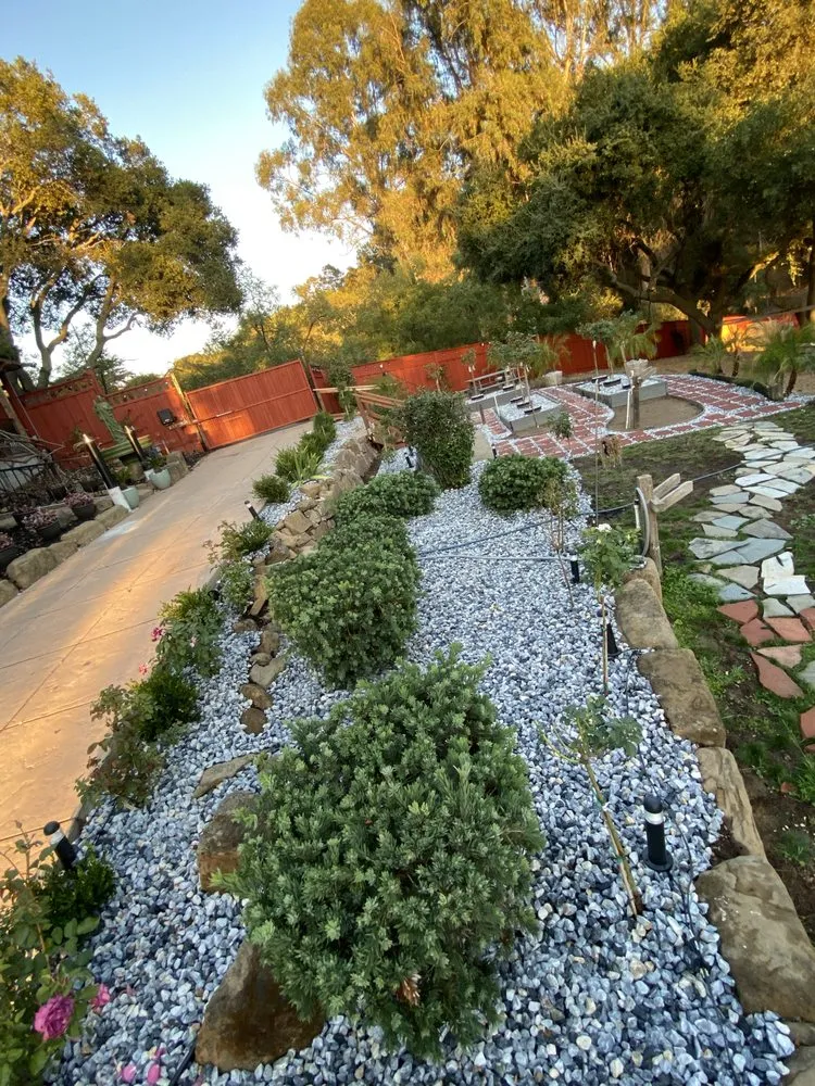 Top-rated lawn care service near you in Hayward, CA by Commitment