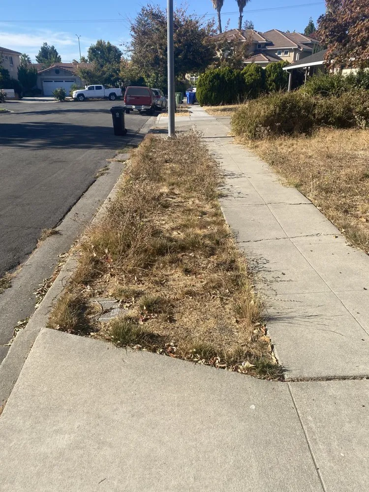 Top-rated lawn care service in Hayward, CA by Commitment