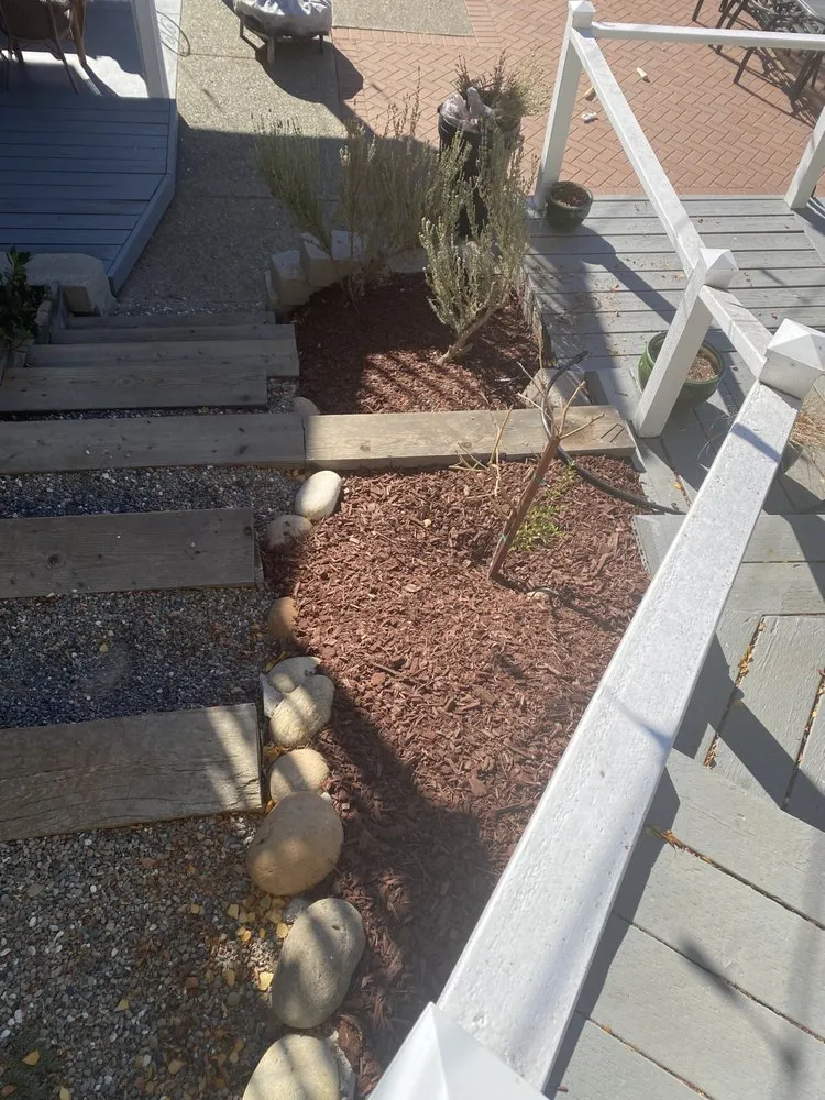 Reliable lawn care service experts serving Hayward, CA - Commitment