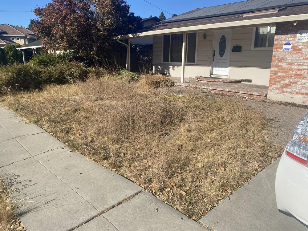 Expert garden landscaping with custom design in Hayward, CA by Commitment