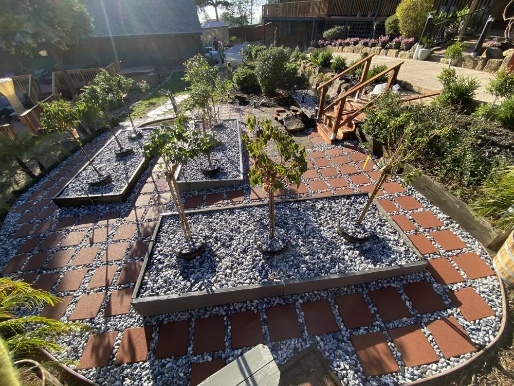 Expert yard maintenance in Hayward, CA - Commitment