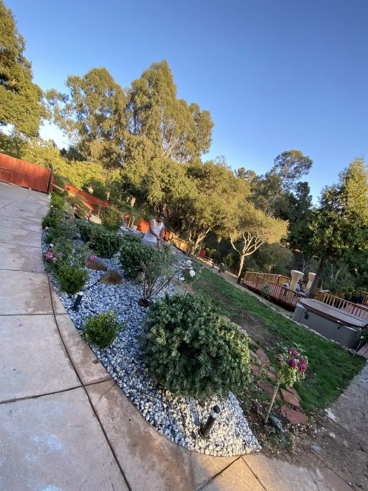 Affordable landscape installation in Hayward, CA - Commitment