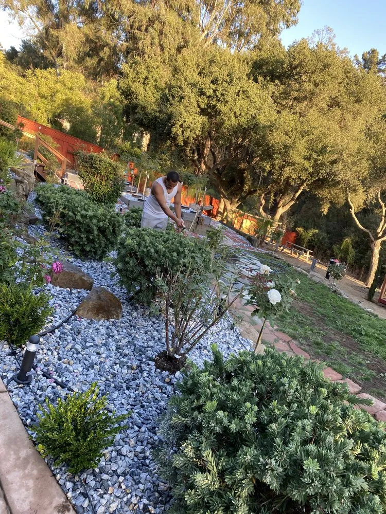 Local landscape installation for year-round maintenance in Hayward, CA by Commitment