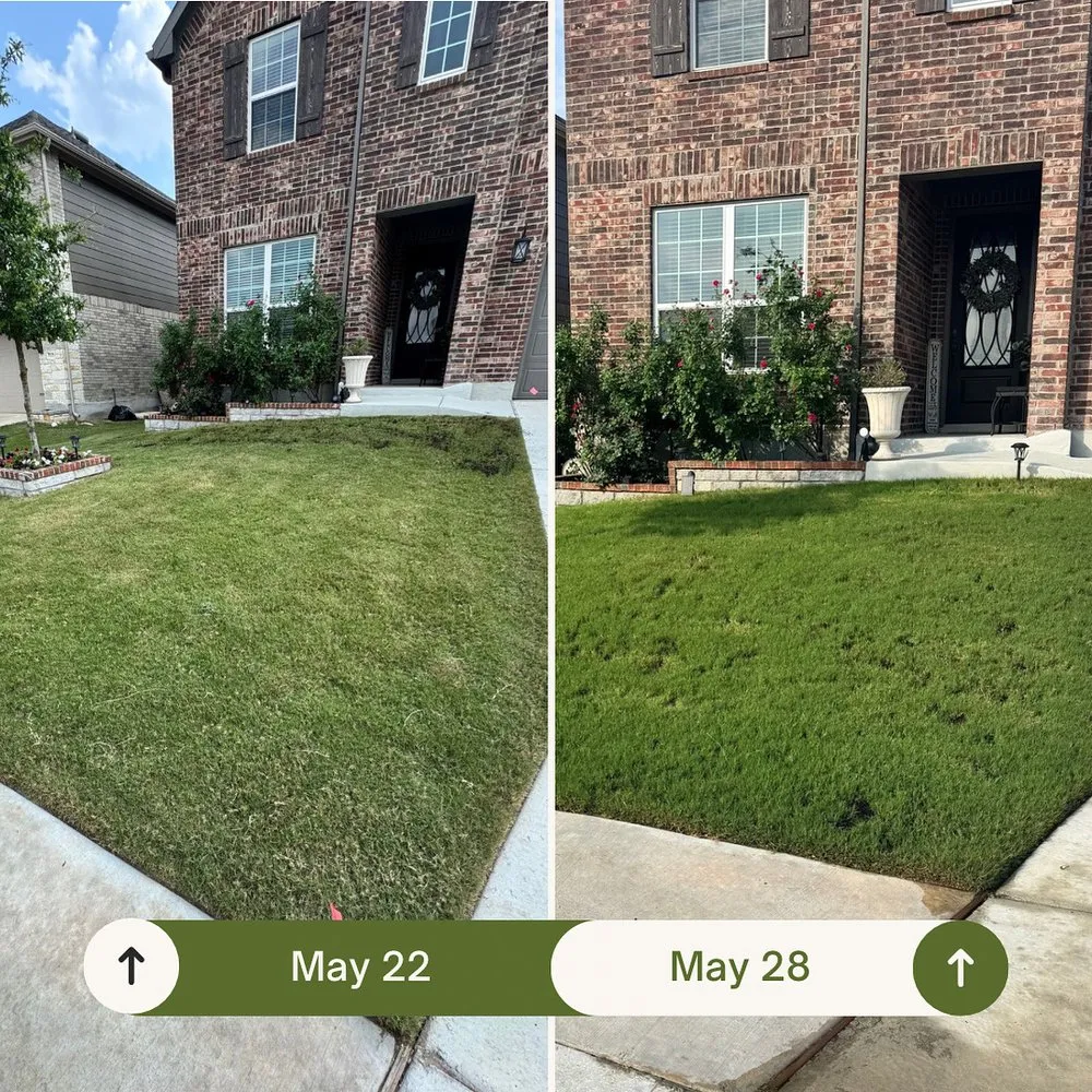 Expert landscaping services experts serving Canyon Lake, TX - Committed Lawn Care