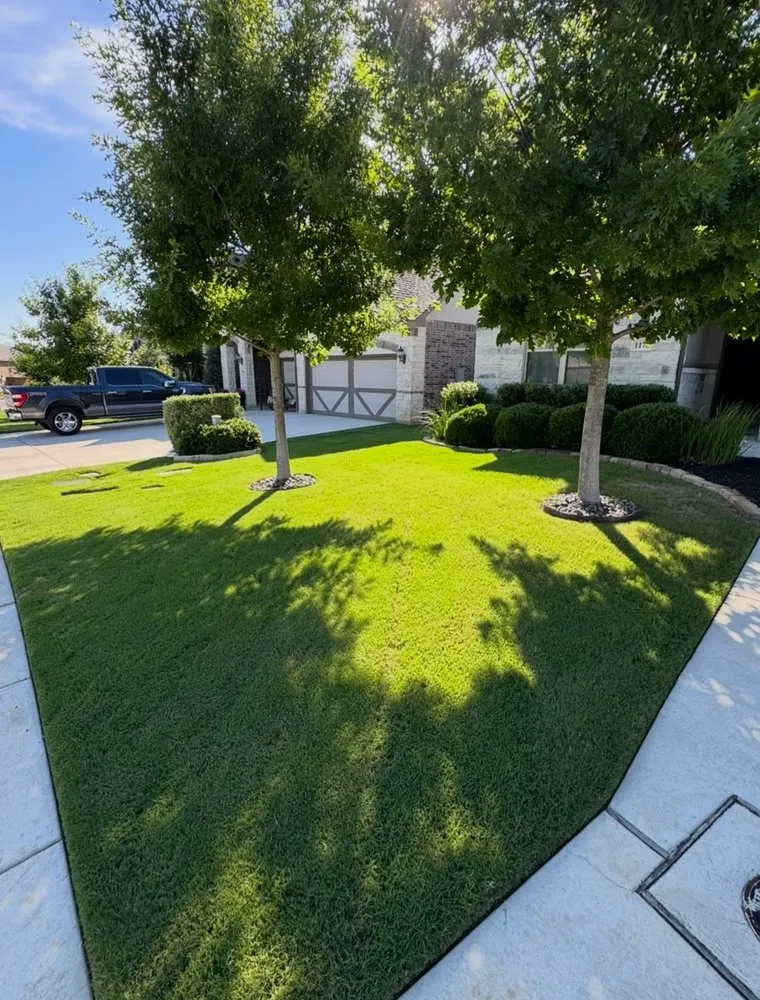 Top-rated landscape design in Canyon Lake, TX - Committed Lawn Care